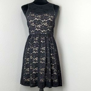 Express Lace Dress